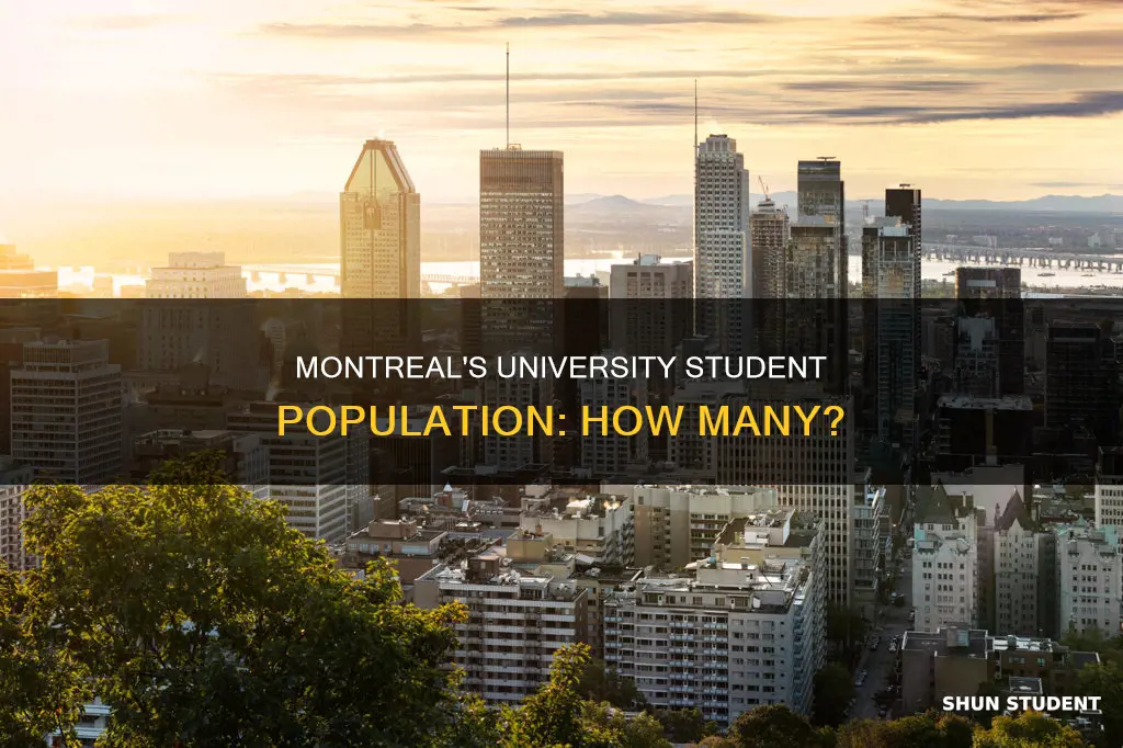 how many university students in montreal