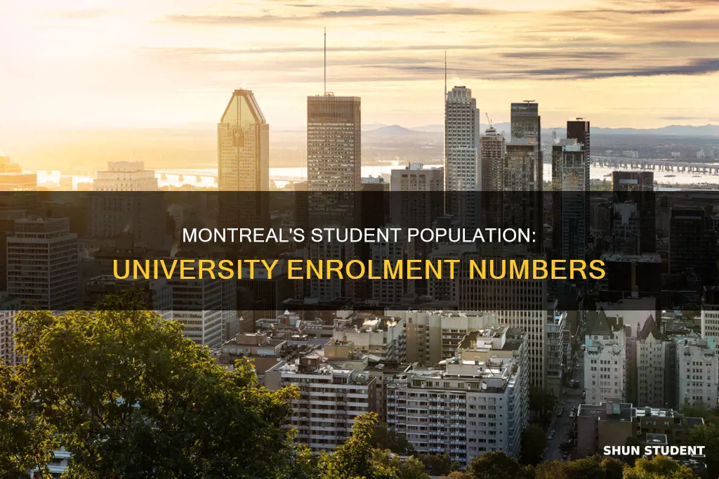 how many university students in montreal