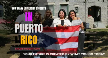 University Education in Puerto Rico: Student Population Insights