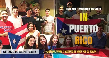 University Education in Puerto Rico: Student Numbers