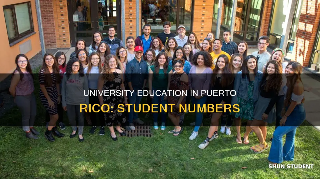 how many university students in puerto rico