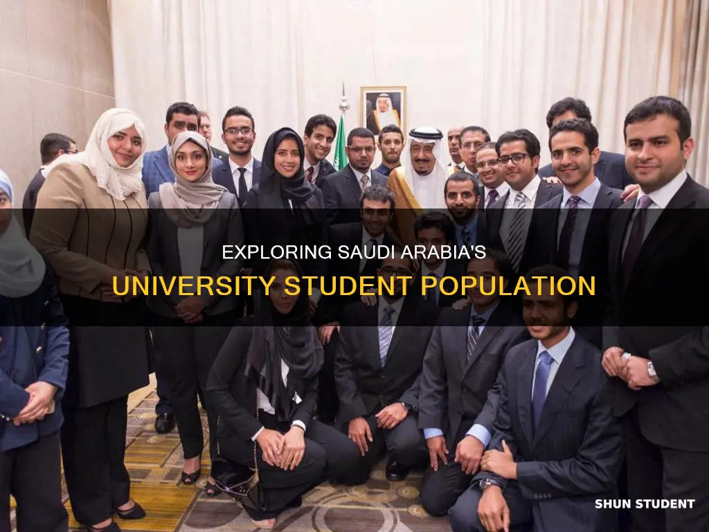 how many university students in saudi arabia