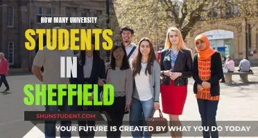 Sheffield's Student Population: How Many University Students?