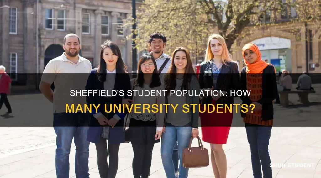 how many university students in sheffield