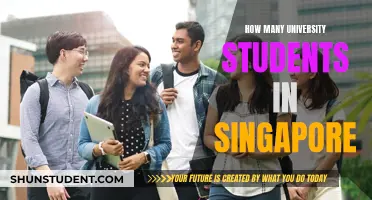 University Education in Singapore: Student Population Insights