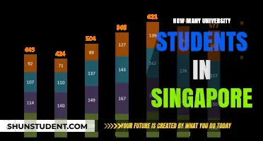 University Students in Singapore: A Comprehensive Count