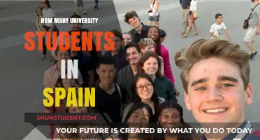 University Education in Spain: Student Population Insights