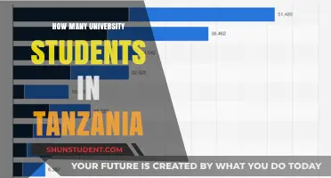 University Students in Tanzania: How Many Are There?