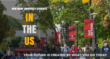 University Students in the US: How Many Are There?