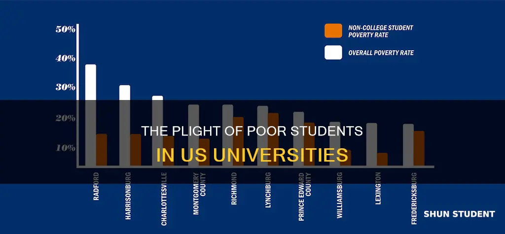 how many university students in us who are poor