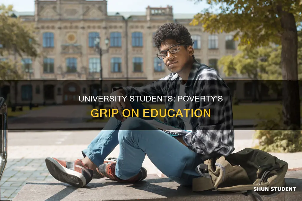 how many university students in us who are poor