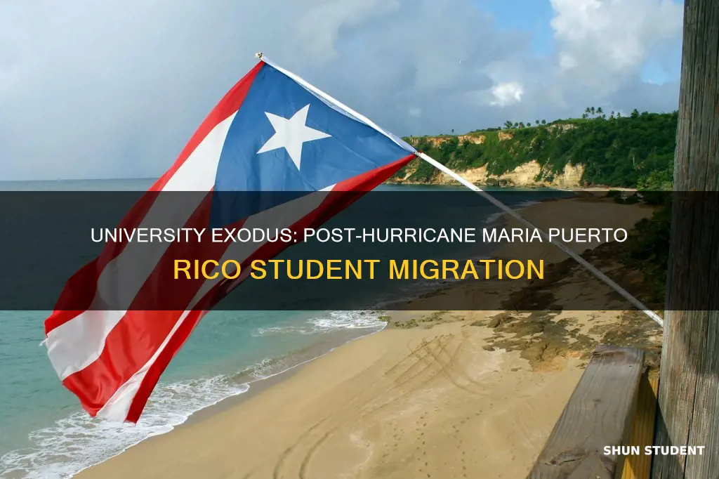 how many university students left puerto rico after hurricane maria