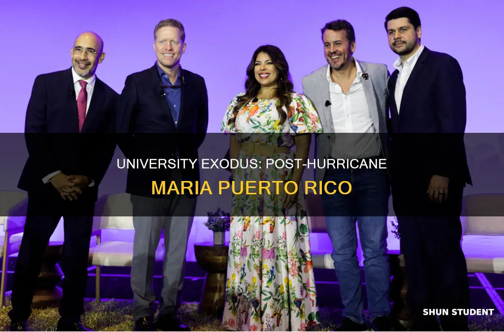 how many university students left puerto rico after hurricane maria