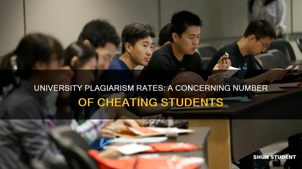 how many university students plagiarize