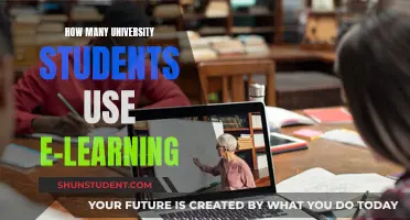 University Students' E-Learning Usage: A Comprehensive Overview