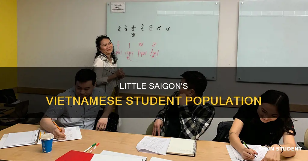 how many vietnamese international student in little saigon