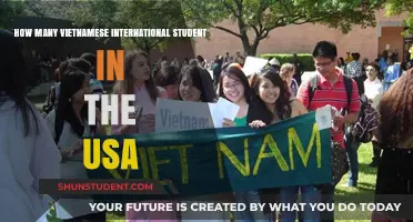 Vietnamese Students in the USA: A Growing Community