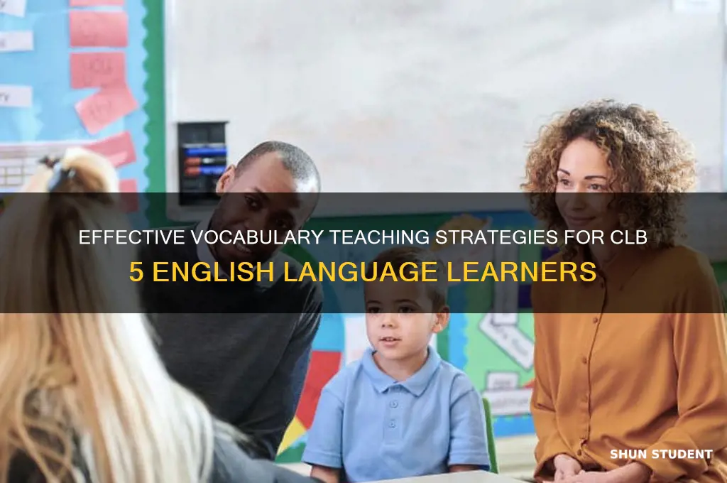 how many vocabulary words to teach a clb 5 students