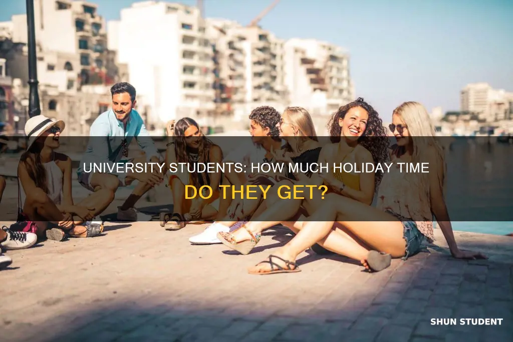how many weeks holiday do university students get uk