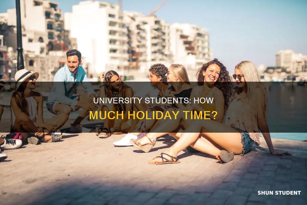 how many weeks holiday do university students get