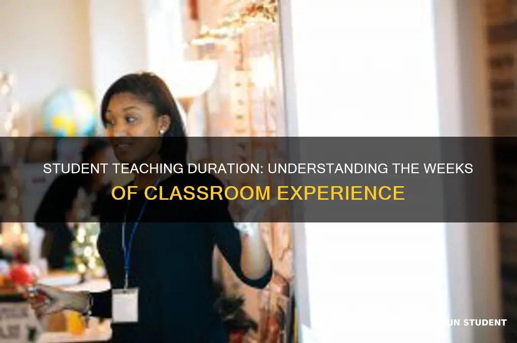 how many weeks of student teaching