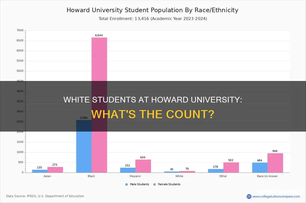 how many white students are at howard university
