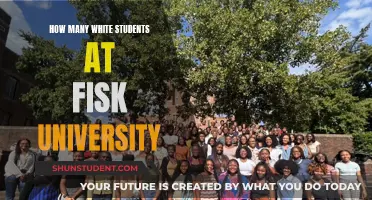 Exploring Racial Diversity at Fisk University: White Student Enrollment