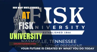 Diversity at Fisk University: White Students Count