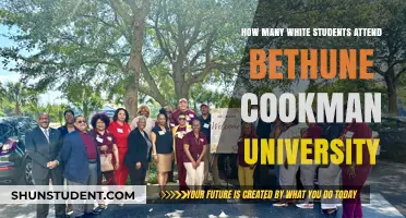 Bethune-Cookman University: White Student Enrollment Figures