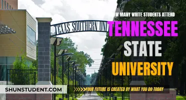 Diversity at Tennessee State University: White Student Enrollment Numbers