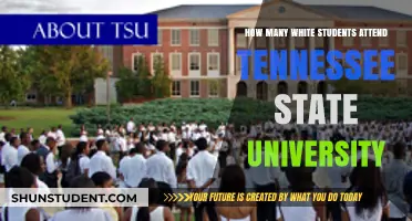 Diversity at Tennessee State University: White Student Enrollment