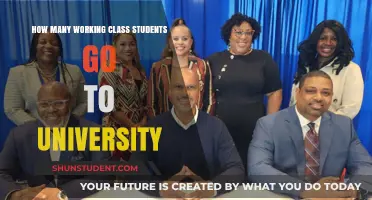 Working-Class University Students: Who, What, and How Many?