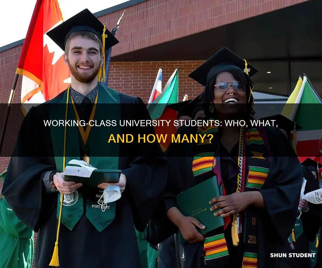 how many working class students go to university