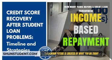 Understanding Student Loan Forgiveness Timeline for Income-Based Repayment Plans