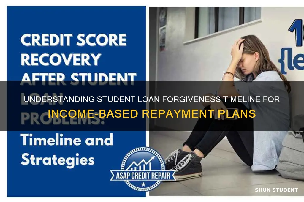 how many years before student loan forgiveness income based repayment