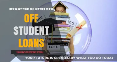 Student Debt: Lawyers' Long Journey to Financial Freedom