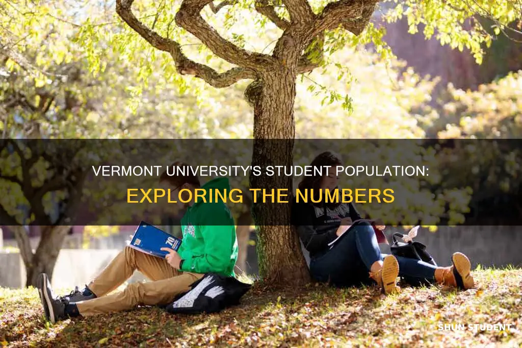 how may students at at university of vermont