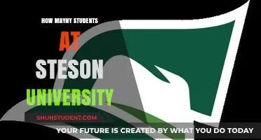 Discover the Student Population at Stetson University
