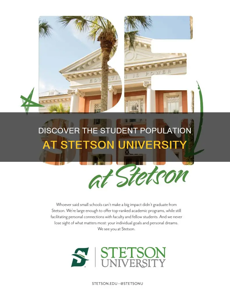 how mayny students at steson university