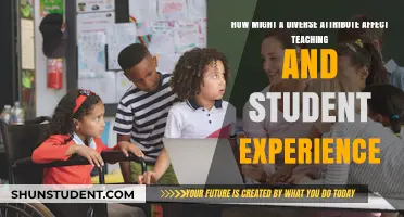 Diverse Attributes: Transforming Teaching Methods and Student Learning Experiences