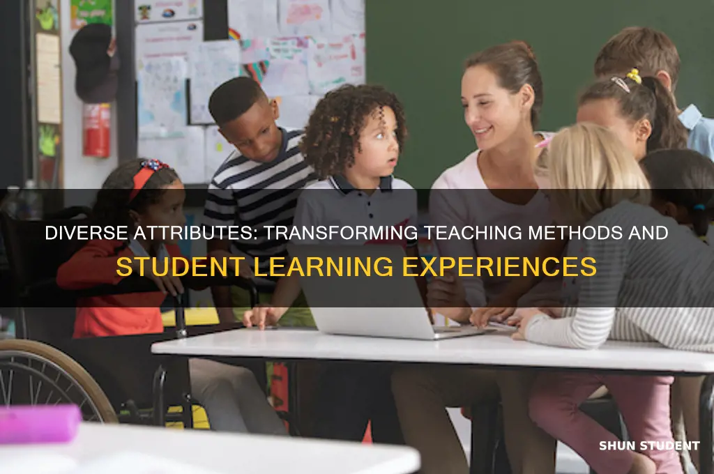 how might a diverse attribute affect teaching and student experience