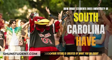 The University of South Carolina: Student Population Insights