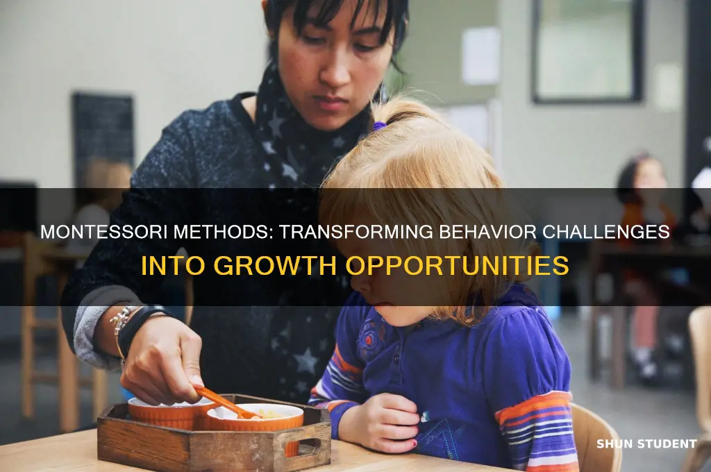 how montessori teach behavior problem students