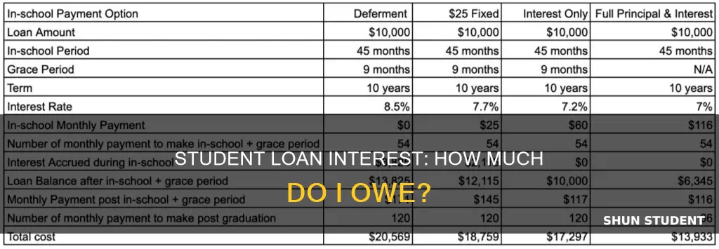 how muc student loan interest do i pay