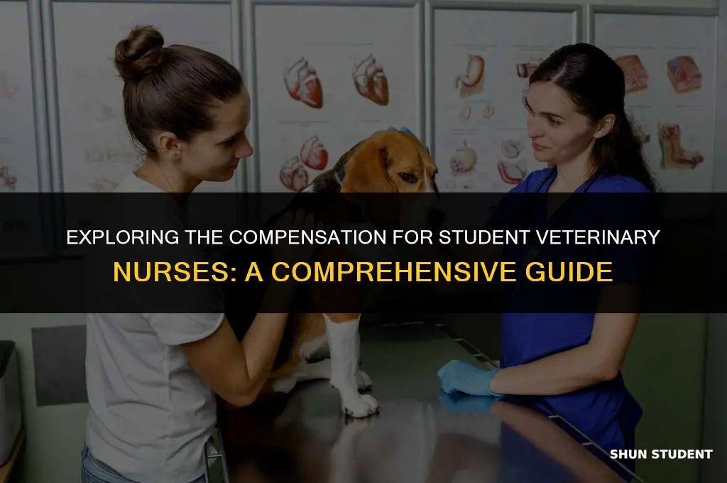 how much do student vet nurses get paid