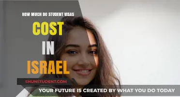 Exploring the Expenses: Student Visas in Israel Unveiled