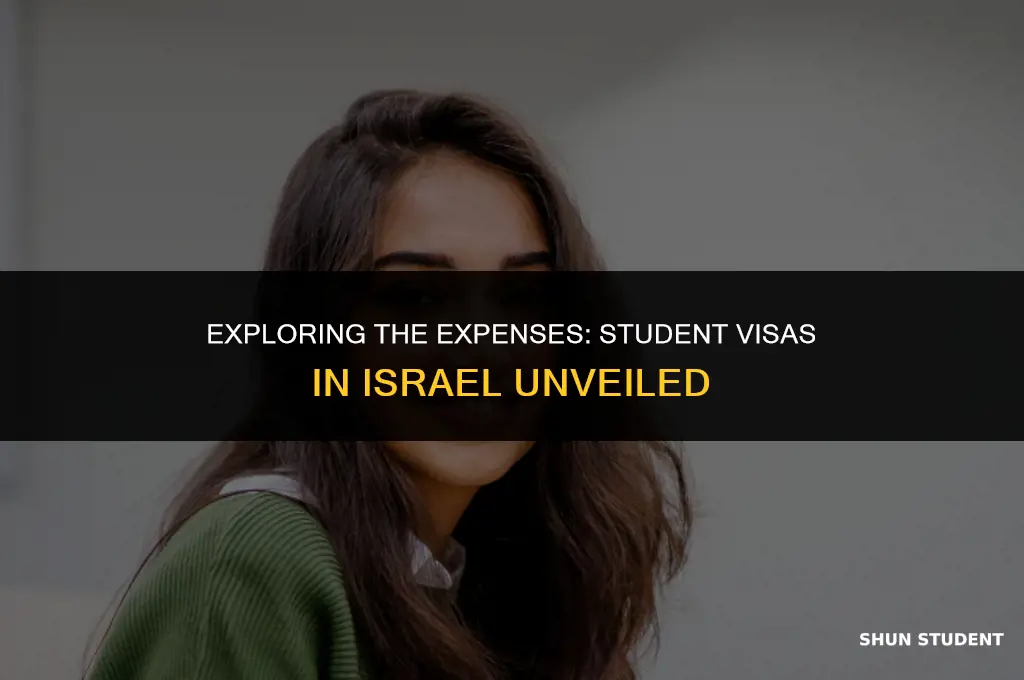 how much do student visas cost in israel