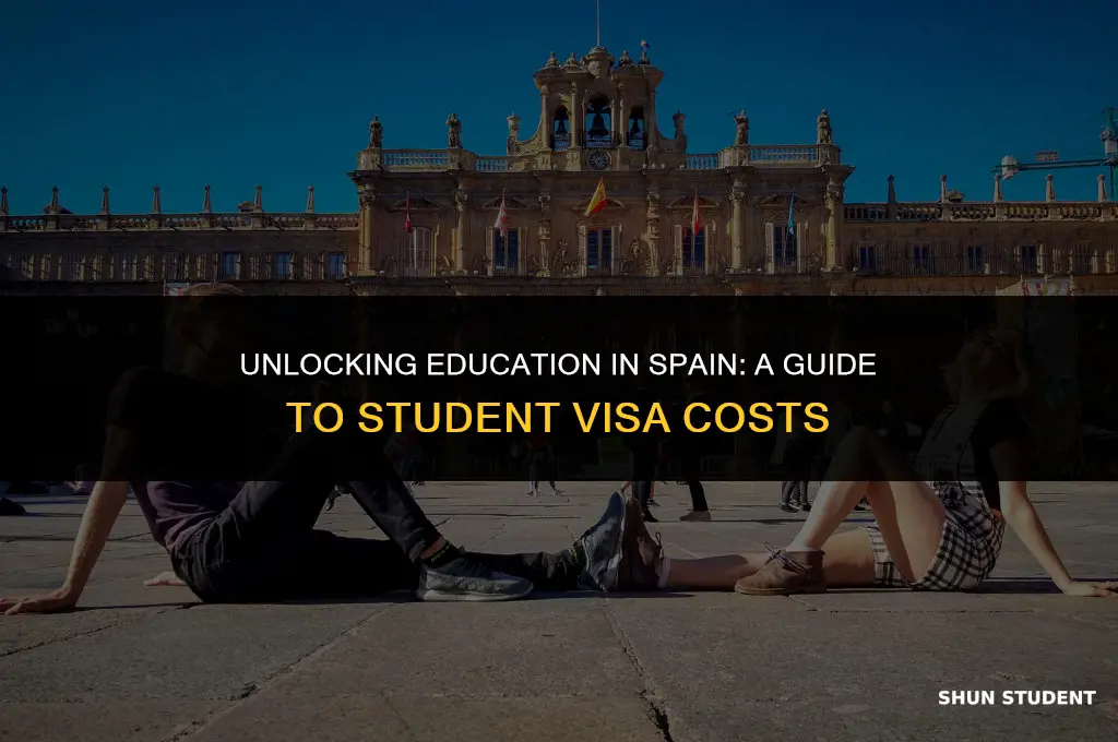 how much do student visas for spain cost