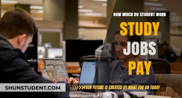 Exploring the Pay Scale of Student Work-Study Positions