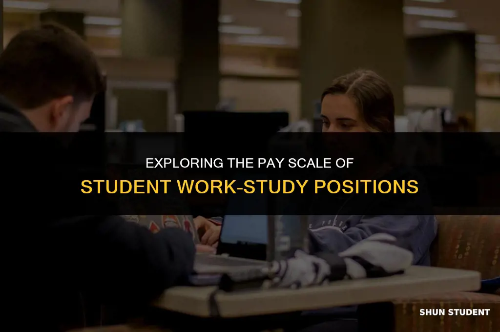 how much do student work study jobs pay